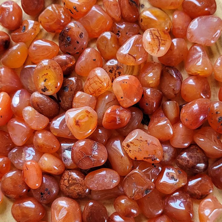 Natural Carnelian Tumbled Stones - Confidence & Creativity Sacral Chakra Crystals