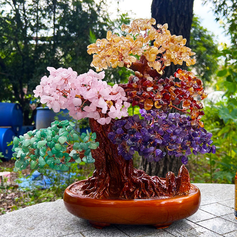 Green jade bead tree close up dense canopy opulent