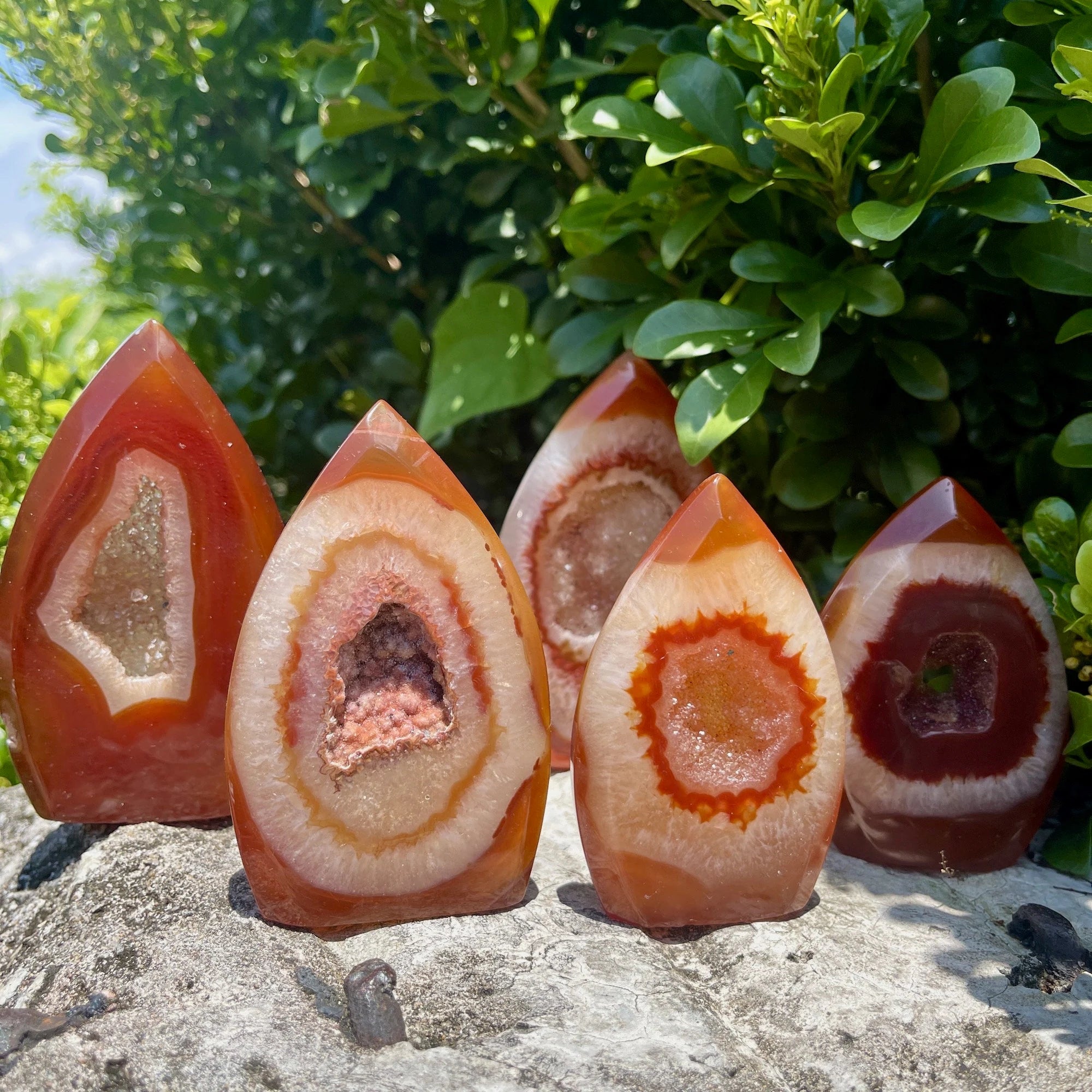 Natural Carnelian Tumbled Stones - Confidence & Creativity Sacral Chakra Crystals